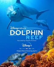 Dolphin Reef 2019