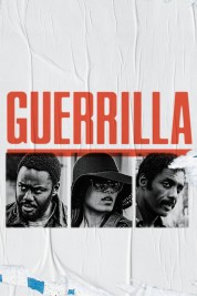Guerrilla 2017