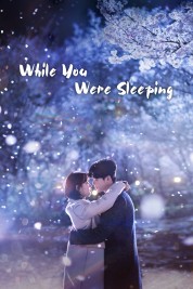 While You Were Sleeping 2017