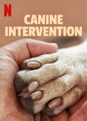 Canine Intervention 2021