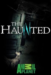 The Haunted 2009