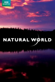 Natural World 1983