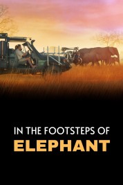 In the Footsteps of Elephant 2020