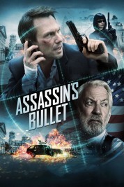 Assassin's Bullet 2012
