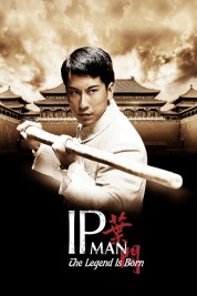 The Legend Is Born: Ip Man 2010