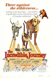 The Incredible Journey 1963