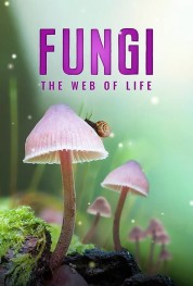 Fungi: The Web of Life 2023