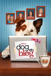 Dog with a Blog 2012