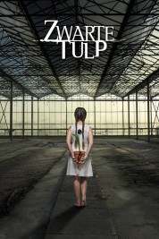 Black Tulip 2015