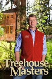 Treehouse Masters 2013