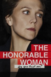 The Honourable Woman 2014