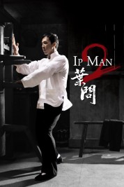 Ip Man 2 2010