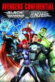 Avengers Confidential: Black Widow & Punisher 2014