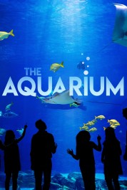 The Aquarium 2019