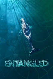 Entangled: The Race to Save Right Whales from Extinction 2020