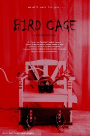 Bird Cage 2019