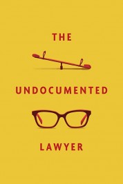 The Undocumented Lawyer 2020