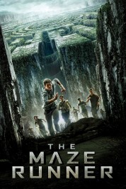 The Maze Runner 2014