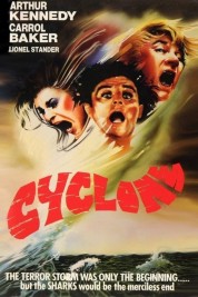 Cyclone 1978