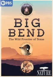 Big Bend: The Wild Frontier of Texas 2021