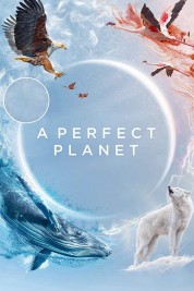 A Perfect Planet 2021