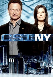 CSI: NY 2004