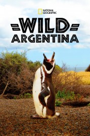 Wild Argentina 2017