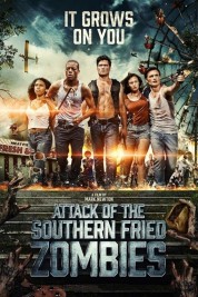 Attack Of The Southern Fried Zombies 2017