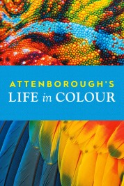 Attenborough's Life in Colour 2021