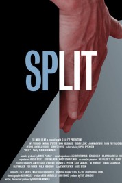 Split 2016