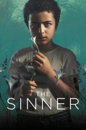 The Sinner 2017