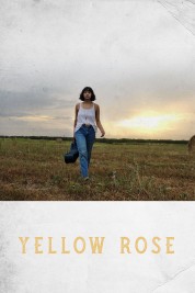Yellow Rose 2020