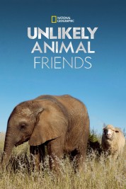 Unlikely Animal Friends 2012