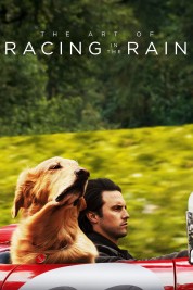 The Art of Racing in the Rain 2019