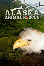 Alaska Animal Rescue 2020