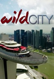 Wild City 2016