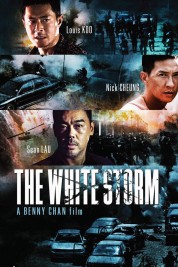 The White Storm 2013