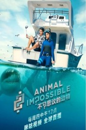 Animal Impossible 2020