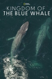 Kingdom of the Blue Whale 2009