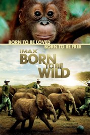 Born to Be Wild 2011