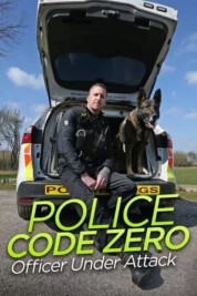 Police Code Zero: Officer Under Attack 2019