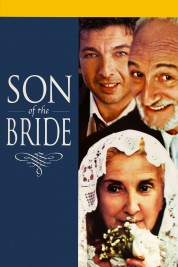 Son of the Bride 2001