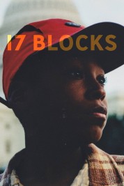 17 Blocks 2019