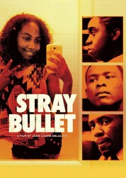 Stray Bullet 2018