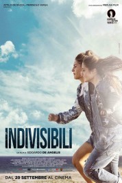 Indivisible 2016