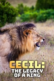 Cecil: The Legacy of a King 2020