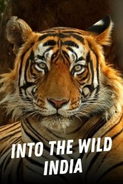 Into the Wild: India 2018