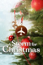 A Storm for Christmas 2022