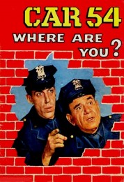 Car 54, Where Are You? 1961