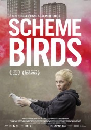 Scheme Birds 2019